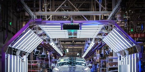 蔚來失守，誰能阻擋特斯拉的鐵蹄？